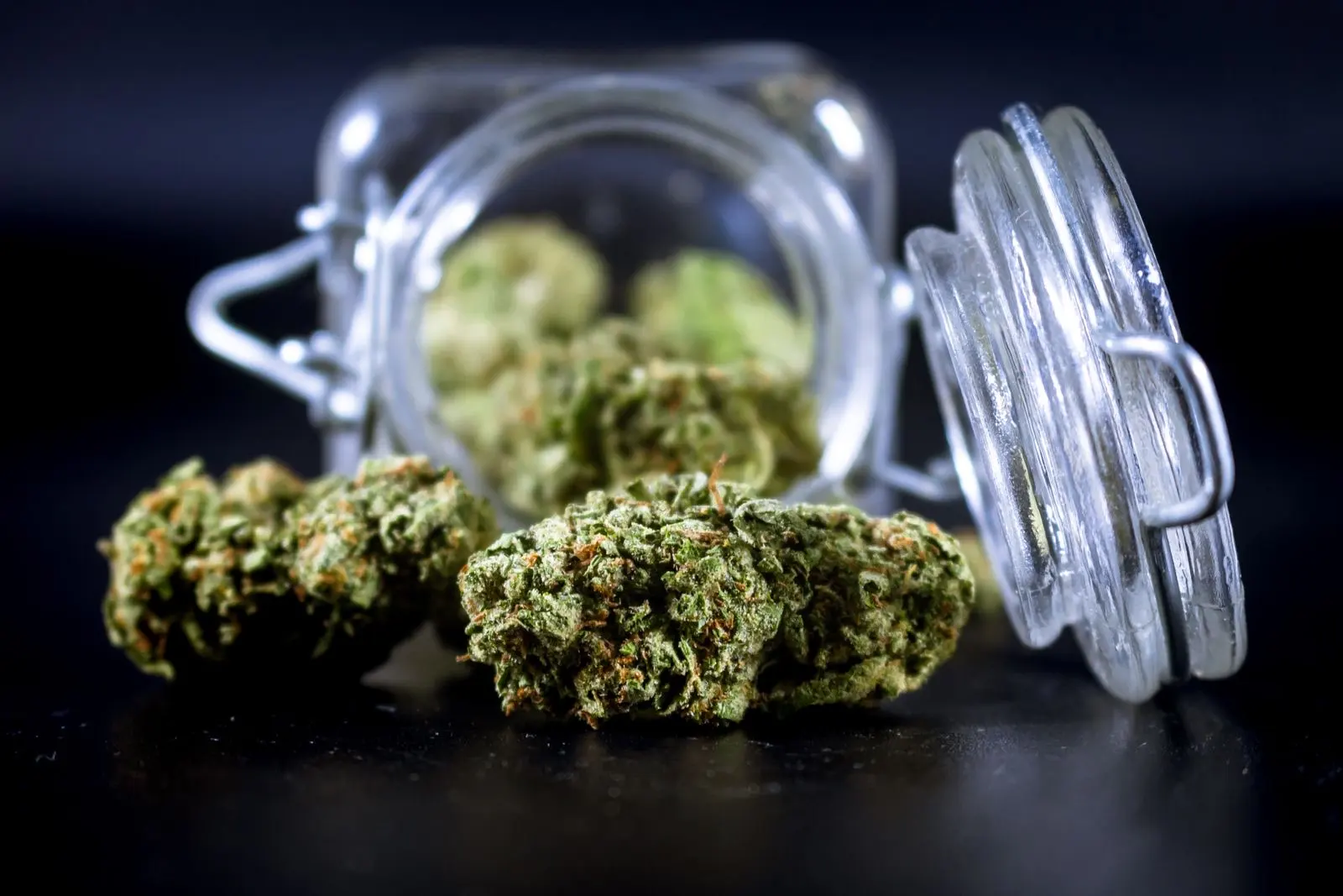 Dried hemp buds, compact and covered in trichomes, in front of an open glass jar