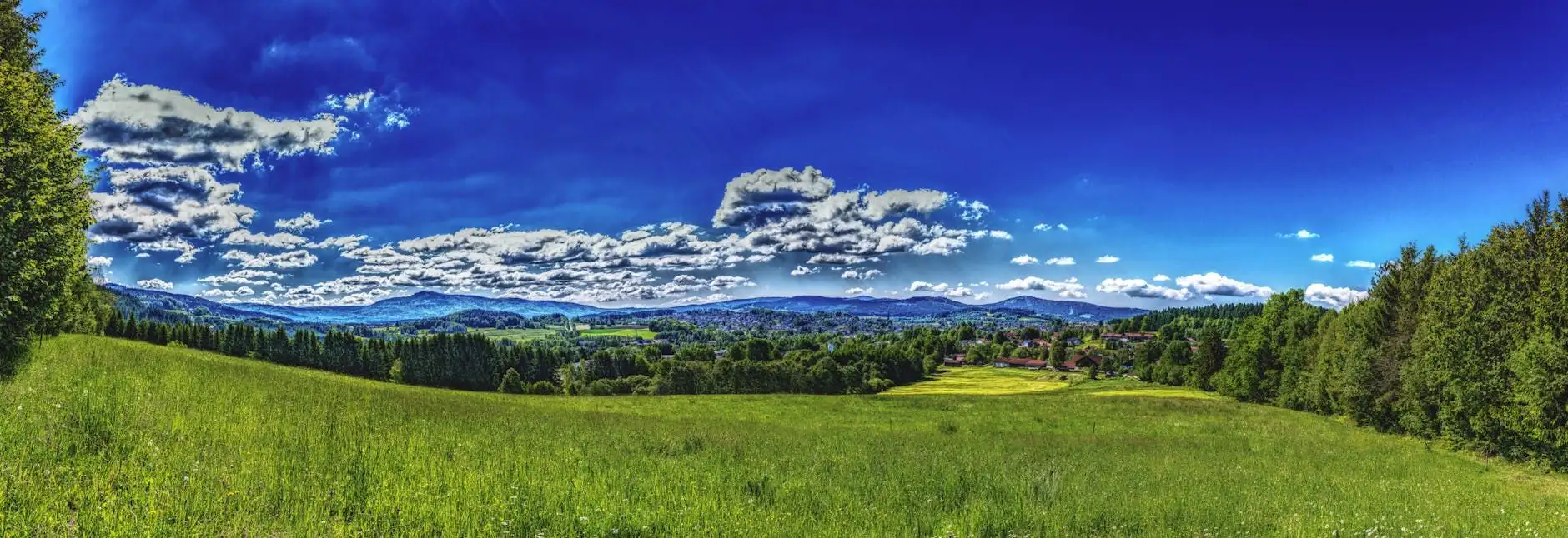 THC threshold for CBD in France: from 0.2% to 0.3%