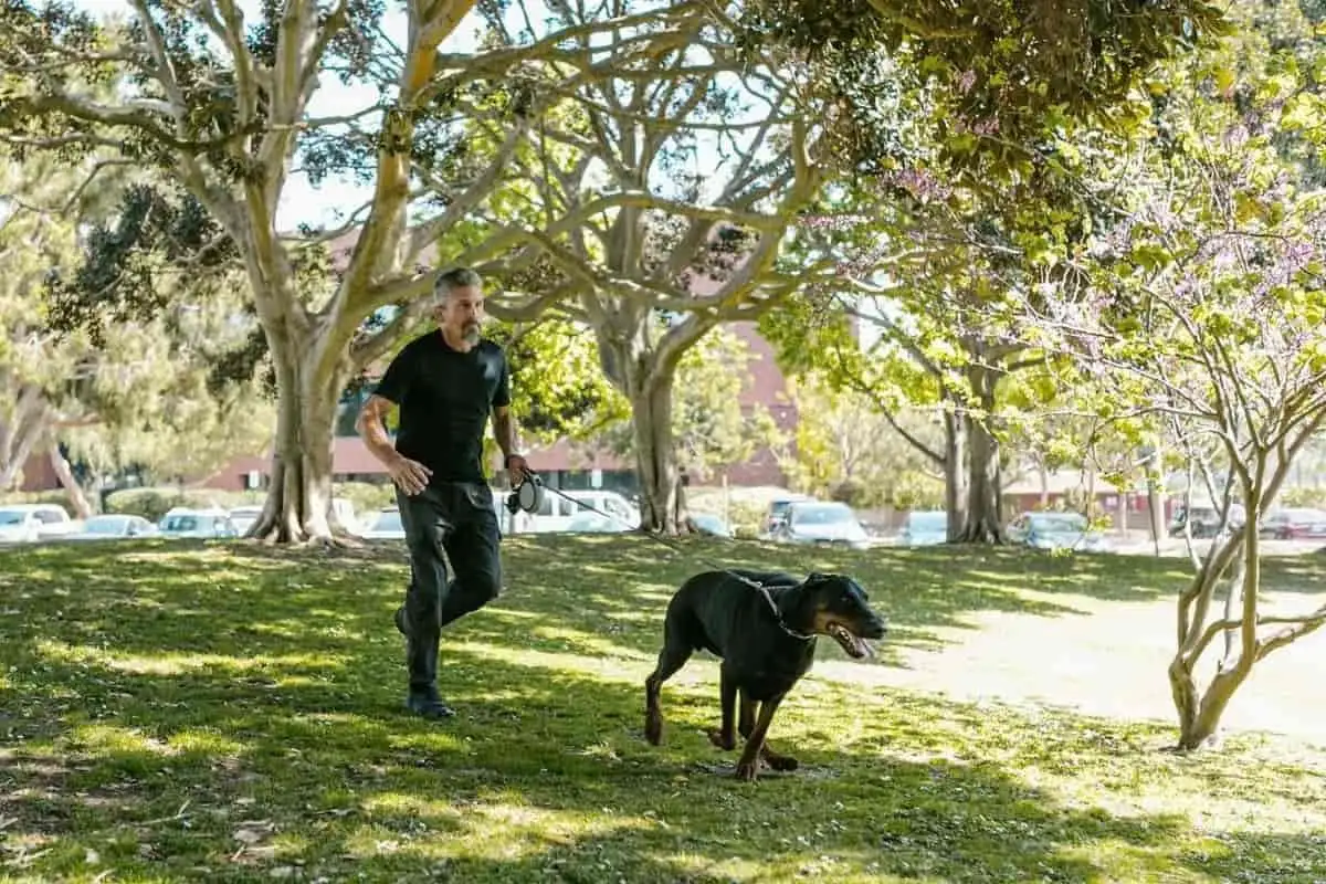 Living with a pet: 5 documented effects on health