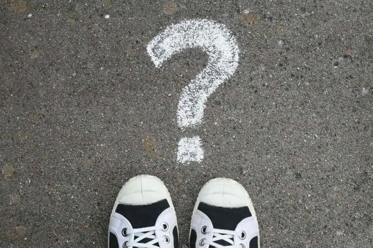 Five common questions about CBD: answers for France
