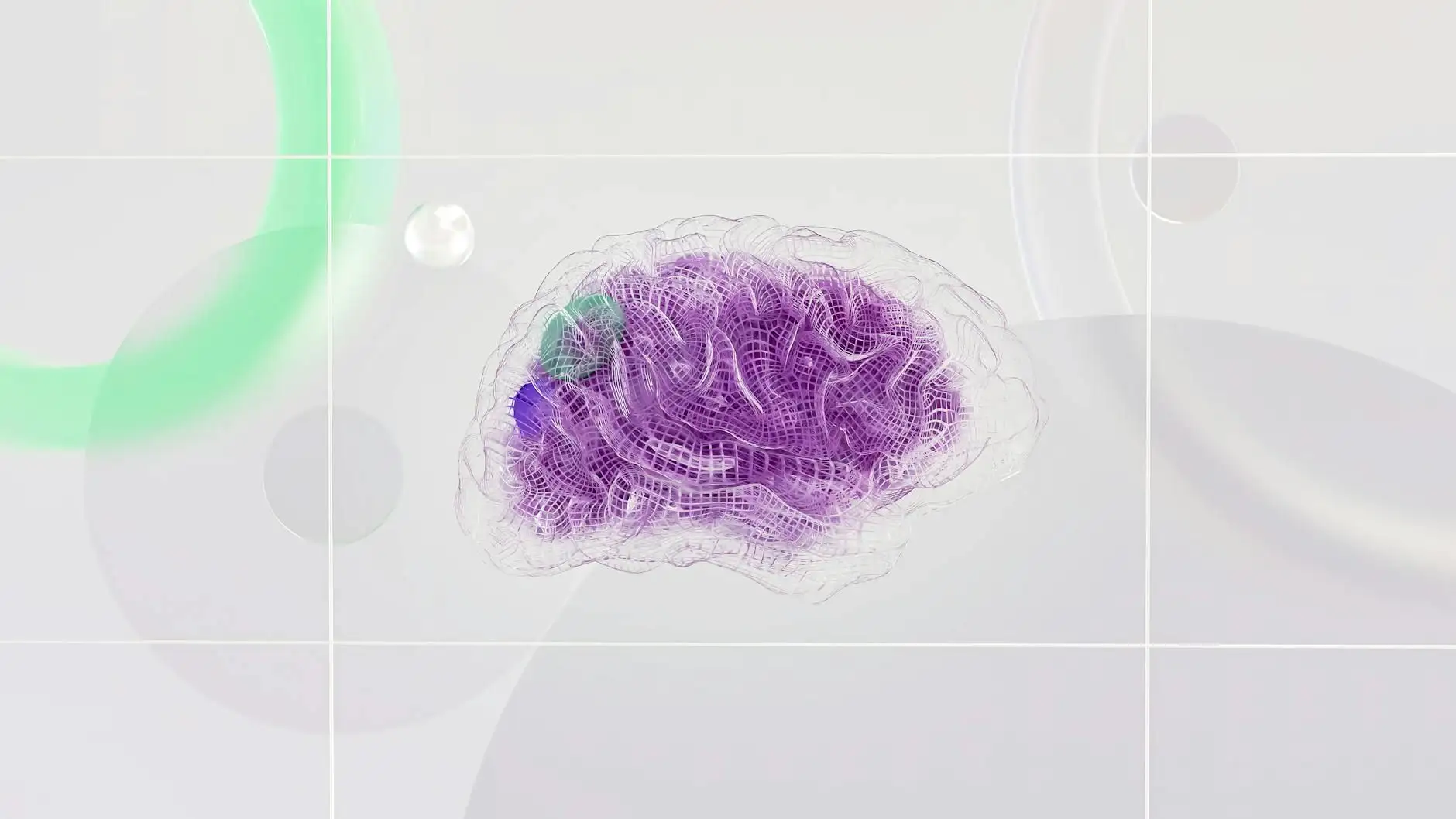 Lion's mane, “brain support” and CBD: what is said in France