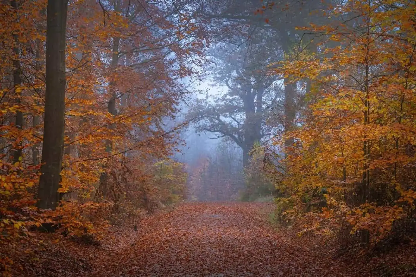 Autumn equinox: rebuilding a balanced routine