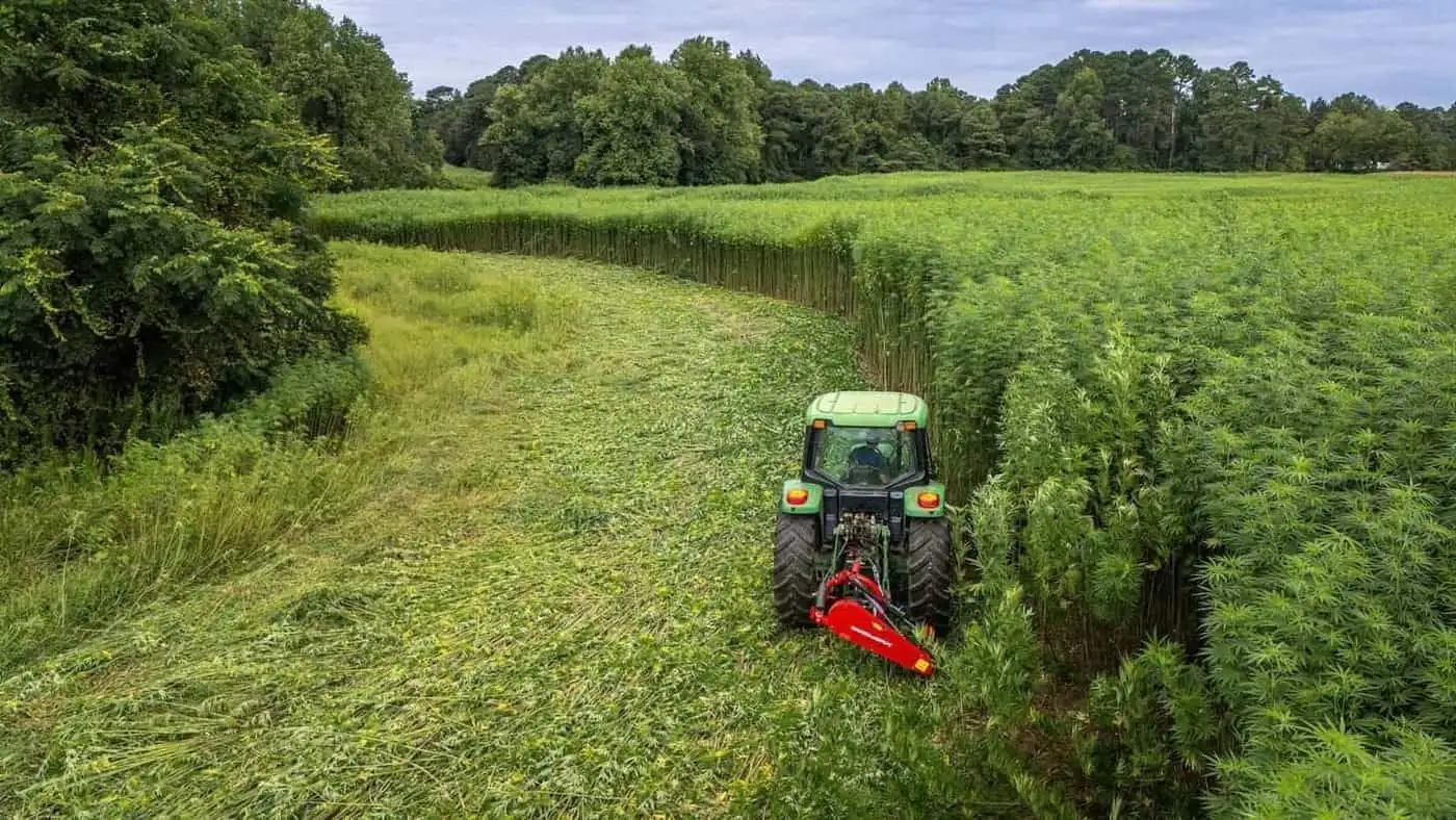 The history of hemp in France and Europe: key milestones