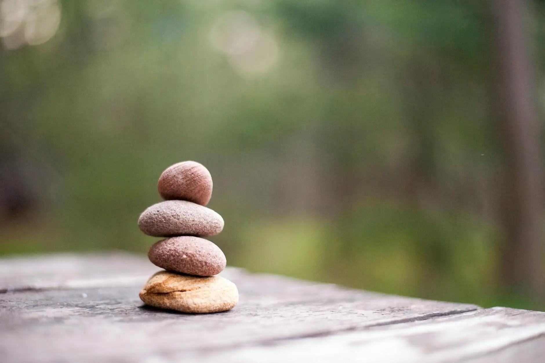 Homeostasis: definition and its link with the endocannabinoid system