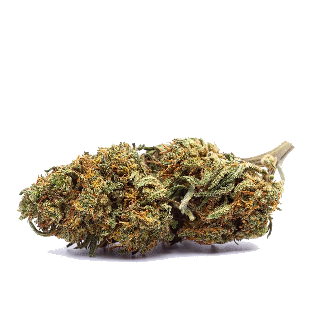 Triple Cheese